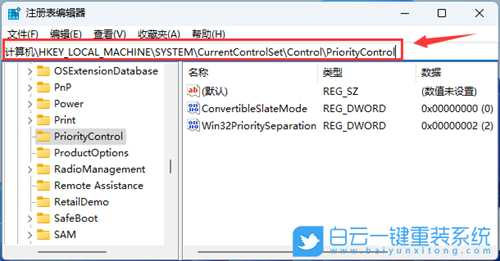 Win11文件复选框没有打开但还是会显示怎么办(win11文件复选框没有打开但还是会显示怎么办)